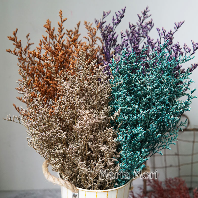 70g/Erba di Limonium Preservat - Dried Flower Bulk recensione e prezzo