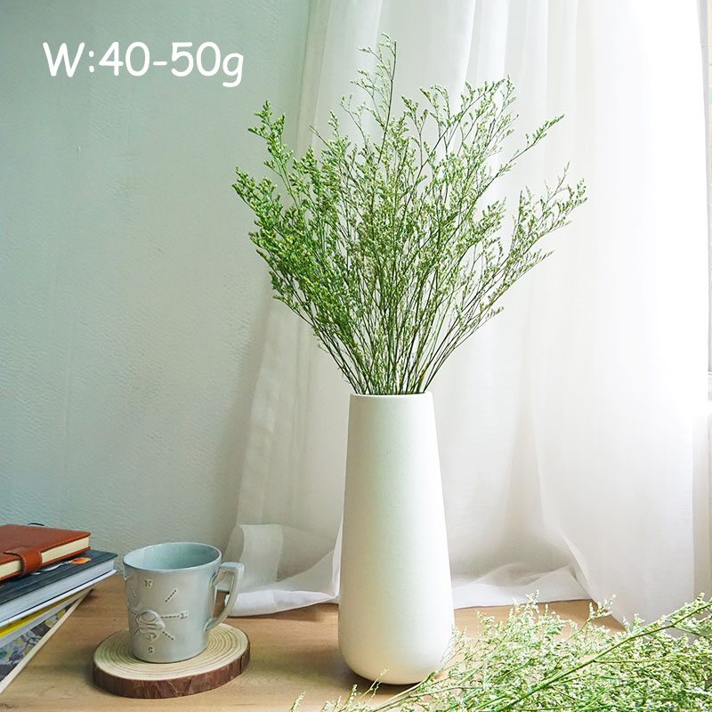 70g/Erba di Limonium Preservat - Dried Flower Bulk recensione e prezzo